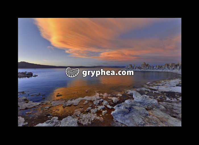 Mono Lake (Californie, USA) - gryphea.org